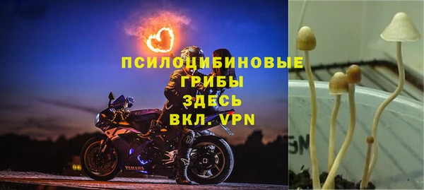 альфа пвп VHQ Белокуриха